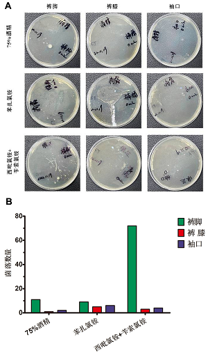 不同类型消毒湿巾对多种衣物材质消毒效果的研究与评价