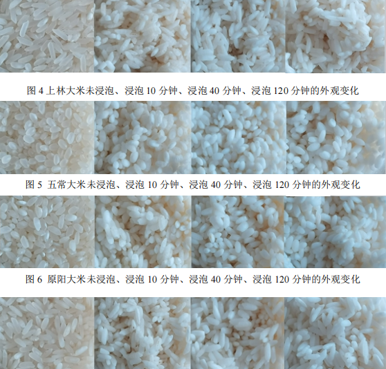 浸泡时间对米饭口感影响的初步探究——以四种产地大米为例