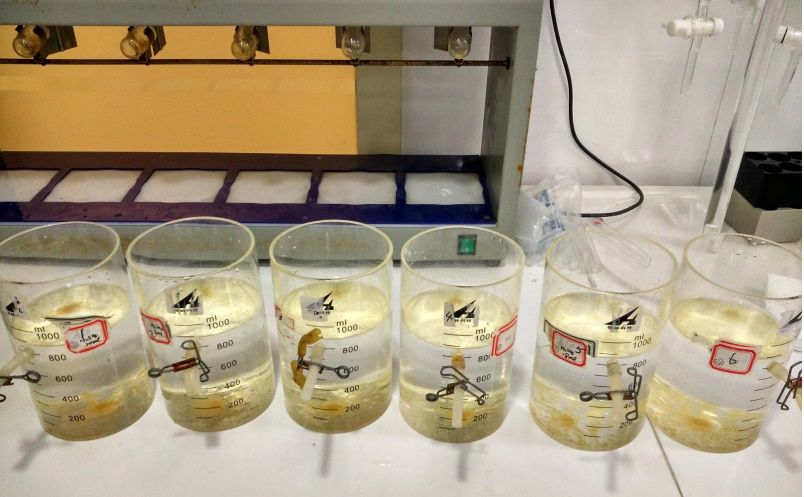 针对金泽水库自来水厂中重金属锑的应急去除方法研究