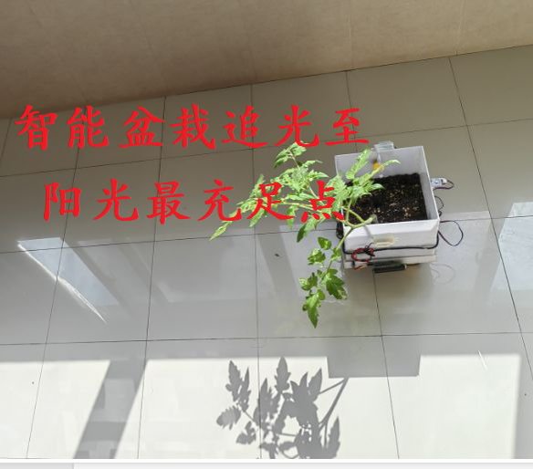 让植物像宠物一样生动——基于决策树的智能植物自主生存装置